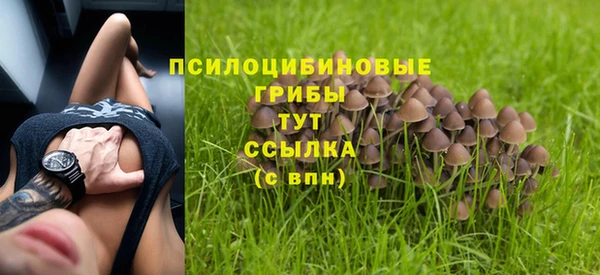 стафф Балабаново